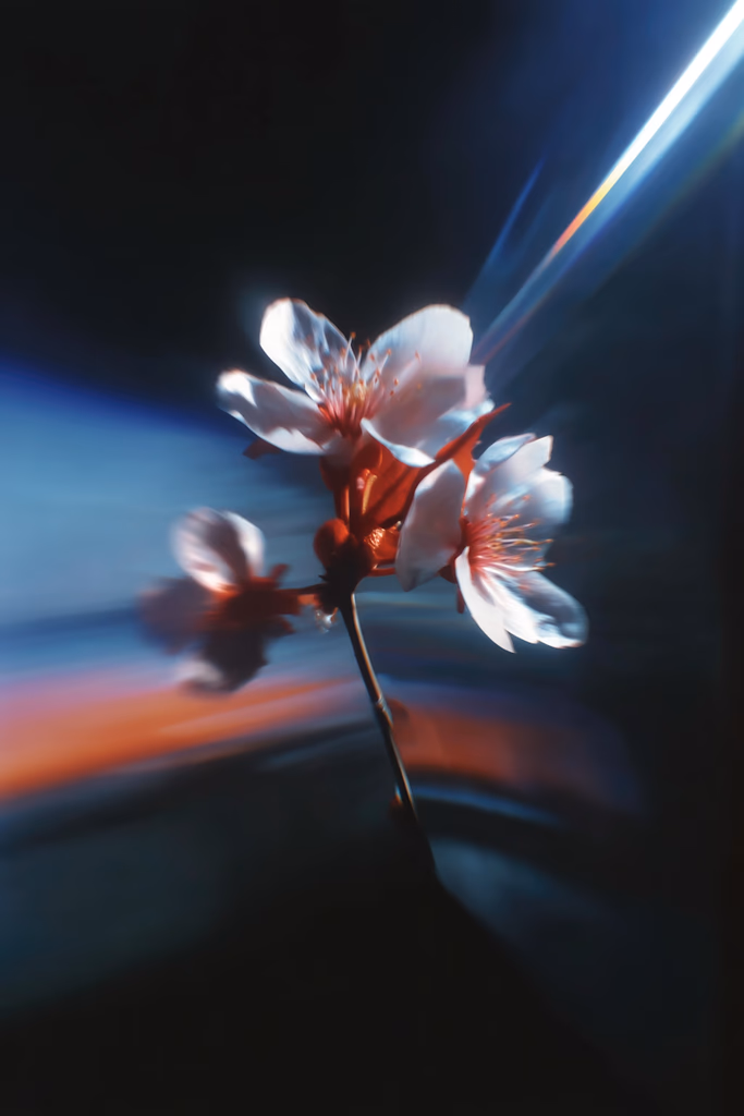 Kurumsal web sitesi tasarımı hizmet görseli