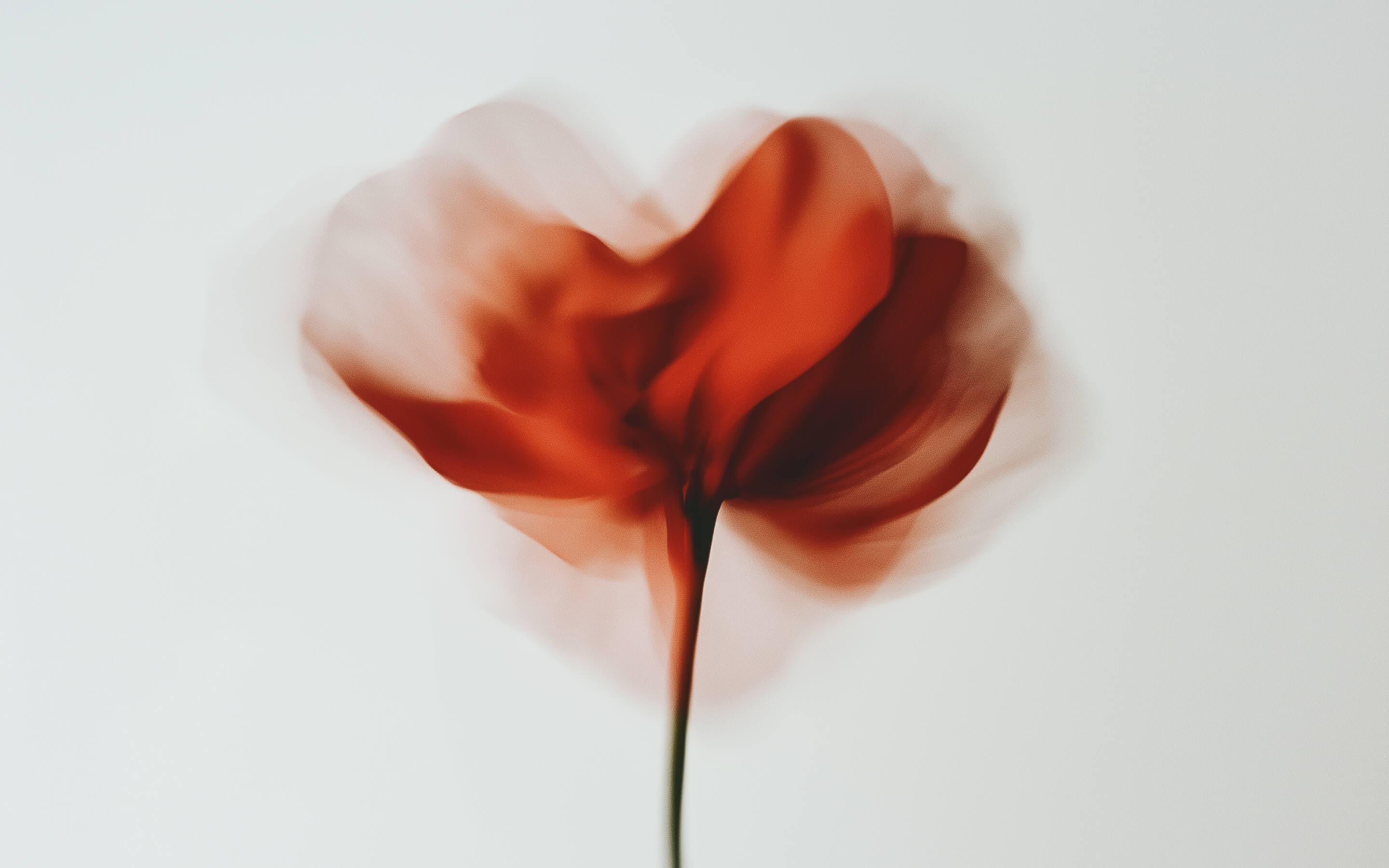 Codedcorp proje görseli